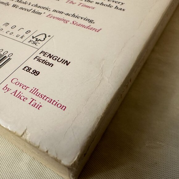 8 pc Complete Adrian Mole Series of Books by Sue Townsend / Paperback - Picture 11 of 12